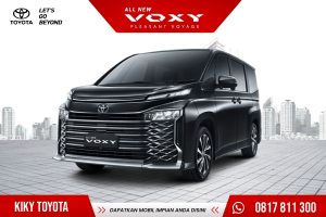 All New Voxy