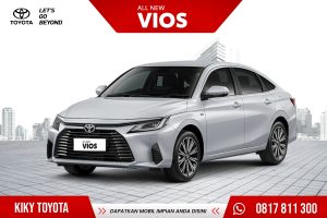 All New Vios