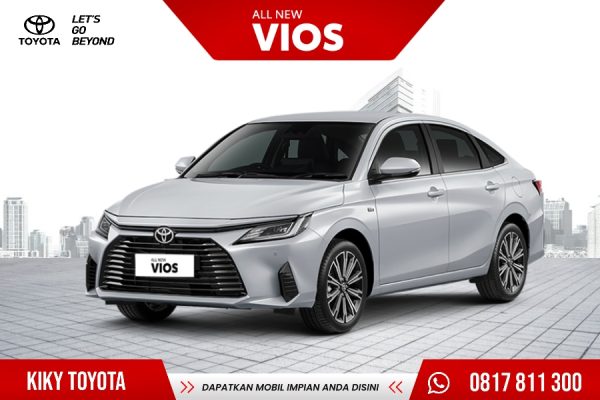 All New Vios
